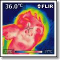 IR_1583.jpg
