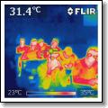 IR_1587.jpg