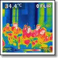 IR_1589.jpg
