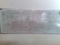 2009-05-05-1079.jpg