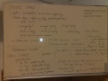 2010-11-18-3383.jpg